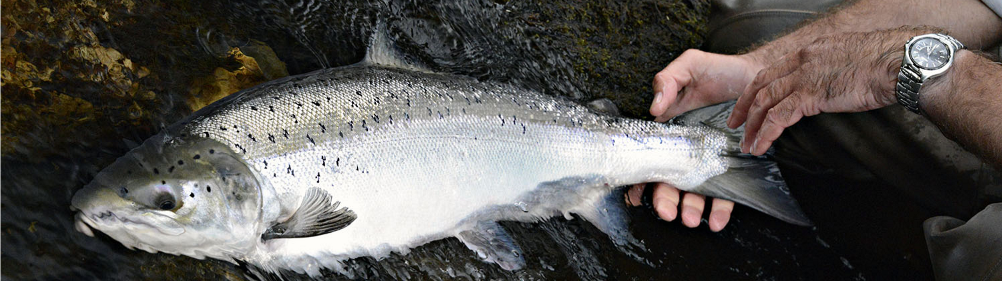 scotland-fishing